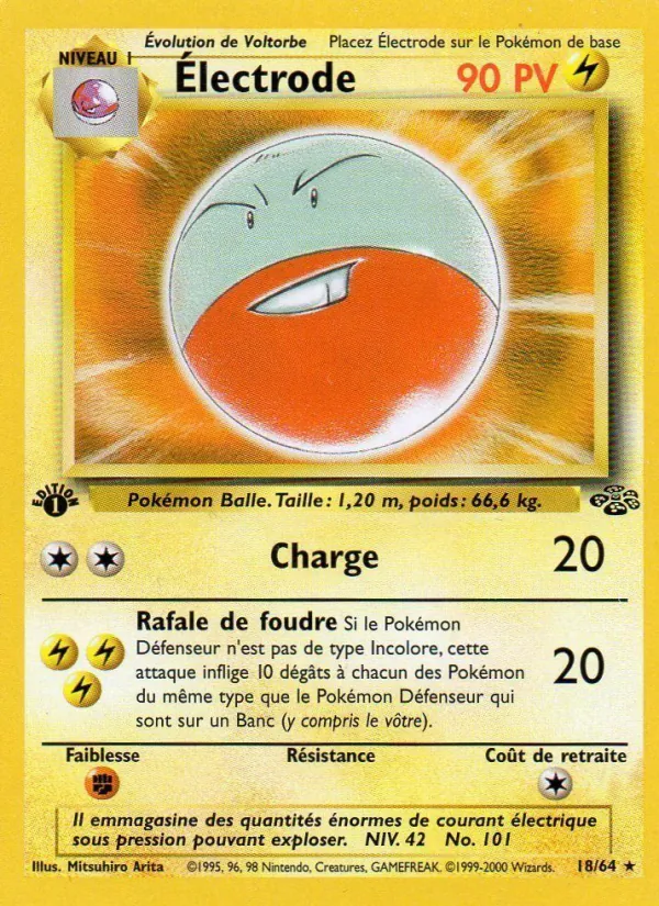 Électrode Jungle 18/64