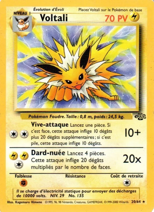 Voltali Jungle 20/64