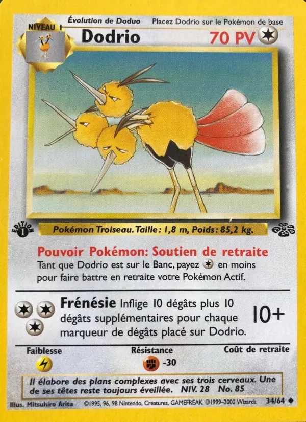Dodrio Jungle 34/64
