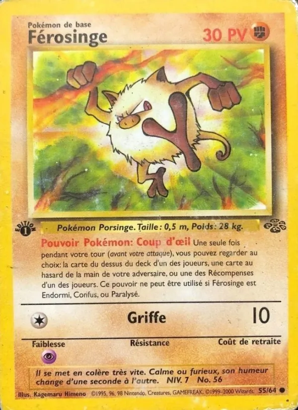 Férosinge Jungle 55/64