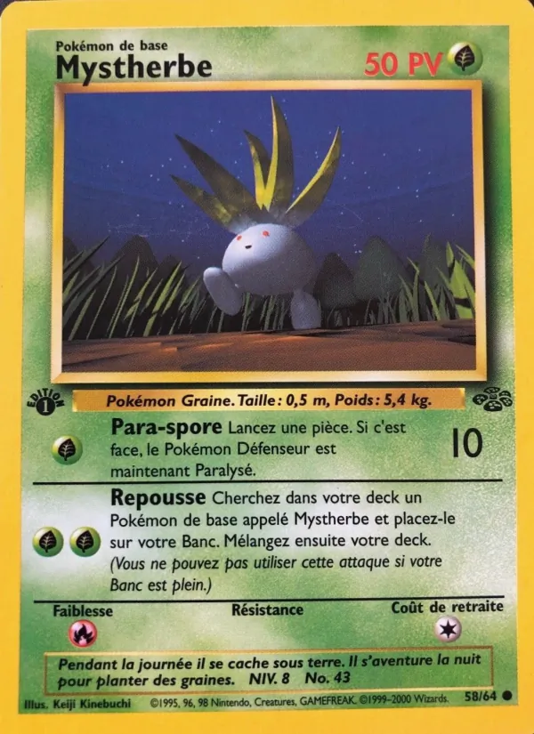 Mystherbe Jungle 58/64