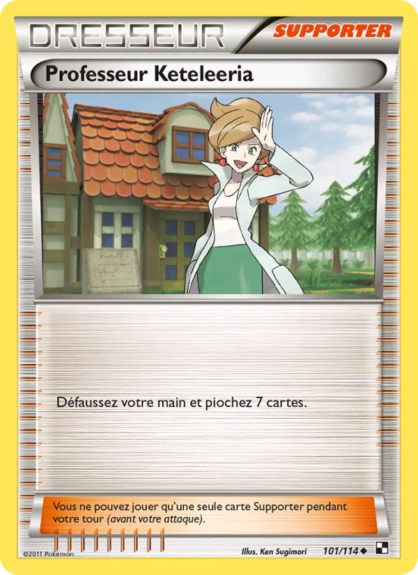 Professeur Keteleeria Noir & Blanc 101/114