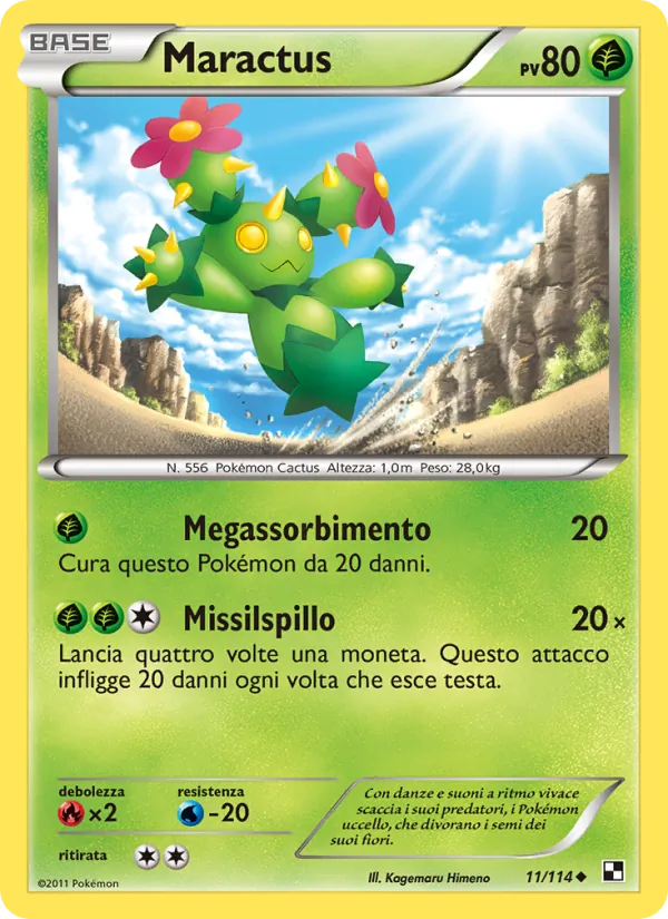 Maractus Nero e Bianco 11/114