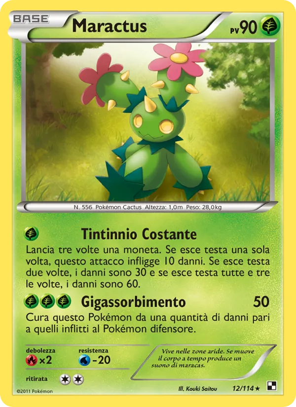 Maractus Nero e Bianco 12/114