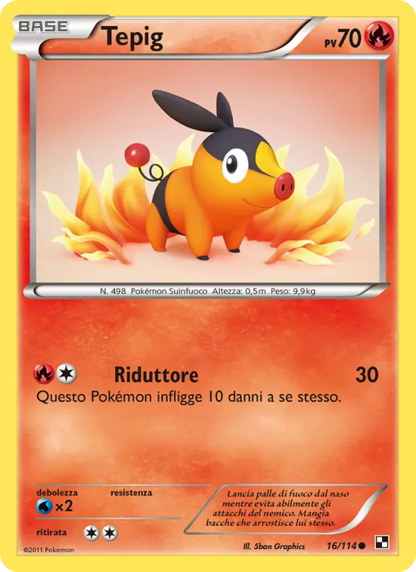 Tepig Nero e Bianco 16/114