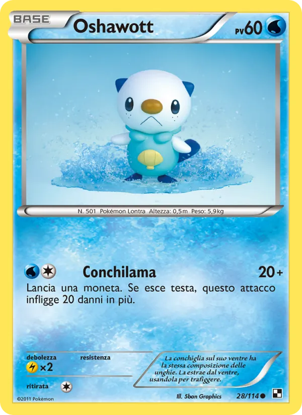 Oshawott Nero e Bianco 28/114