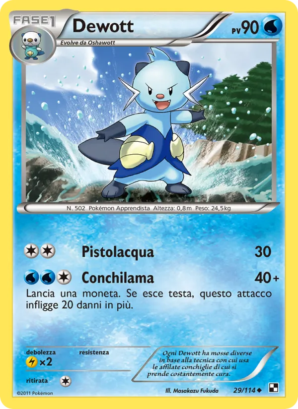 Dewott Nero e Bianco 29/114