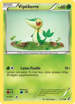 Vipélierre
