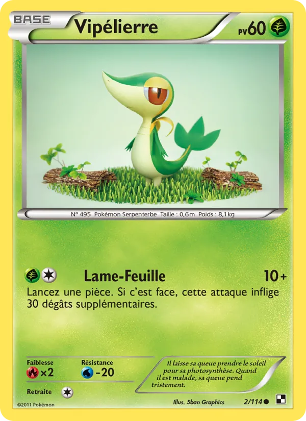 Vipélierre Noir & Blanc 2/114