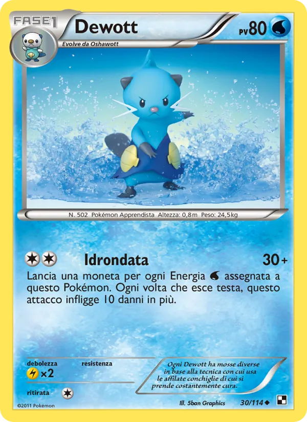 Dewott Nero e Bianco 30/114