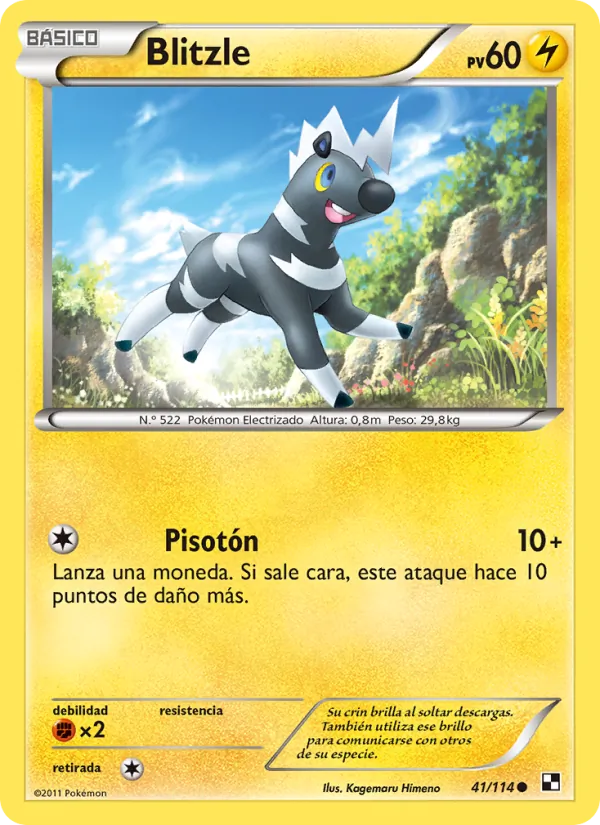 Blitzle Negro y Blanco 41/114