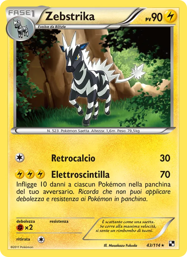 Zebstrika Nero e Bianco 43/114
