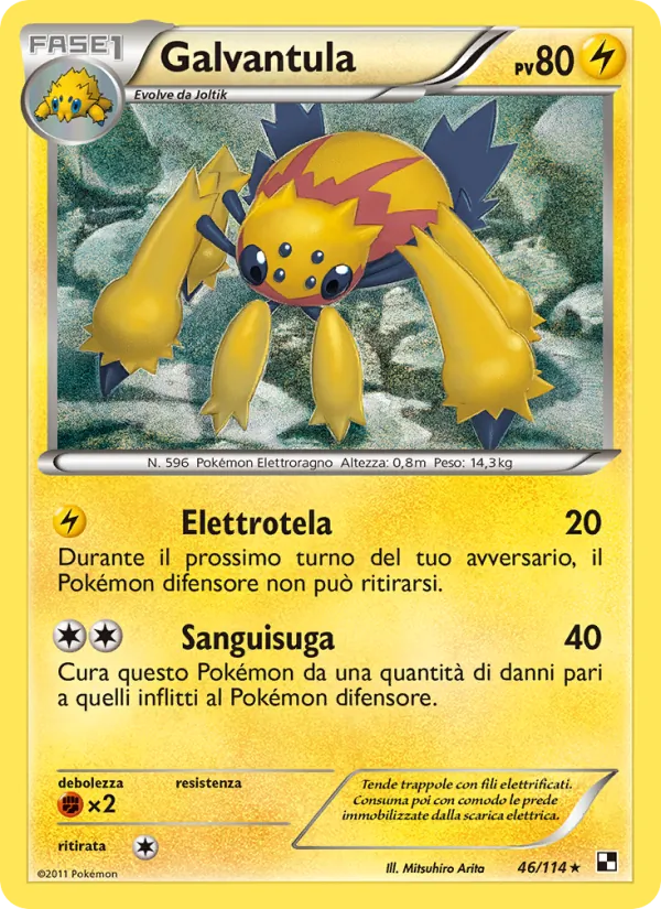 Galvantula Nero e Bianco 46/114