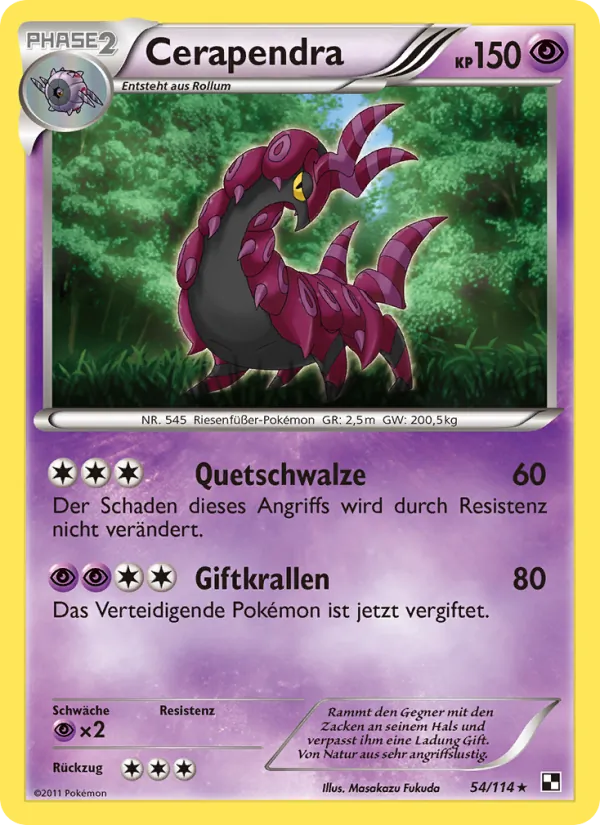 Cerapendra Schwarz & Weiß 54/114