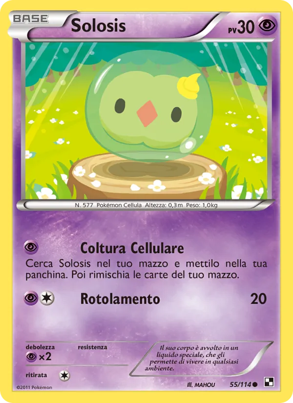 Solosis Nero e Bianco 55/114