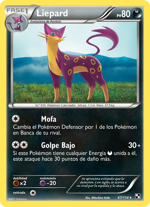 Liepard Negro y Blanco 67/114