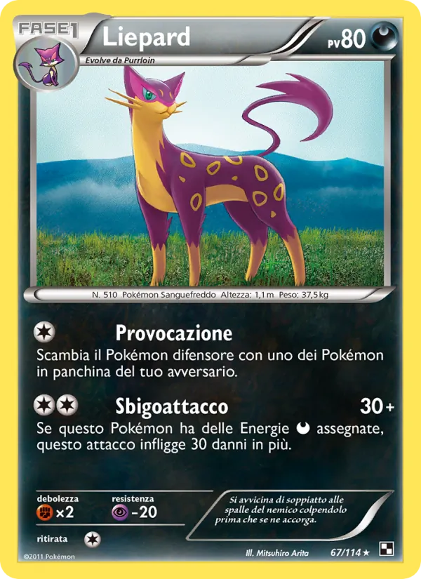 Liepard Nero e Bianco 67/114