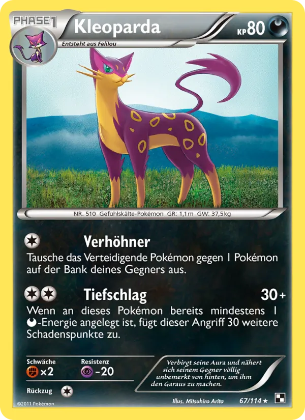 Kleoparda Schwarz & Weiß 67/114