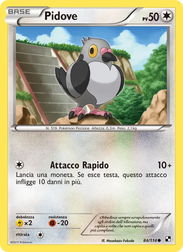 Pidove Nero e Bianco 84/114