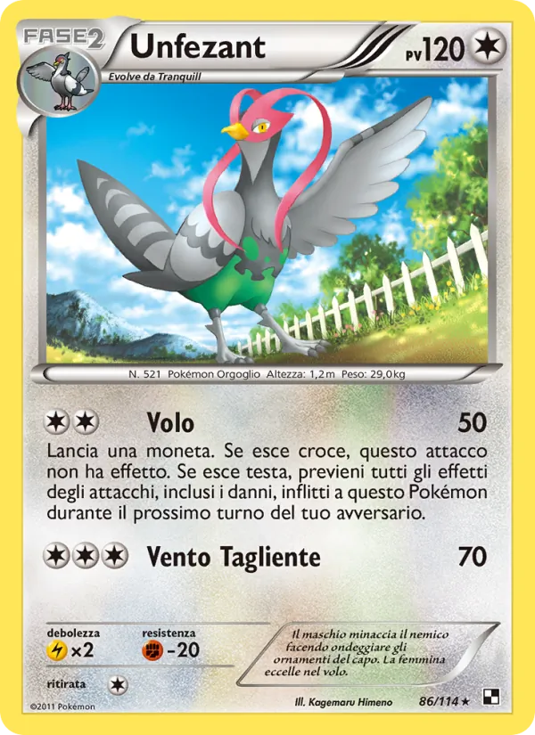 Unfezant Nero e Bianco 86/114