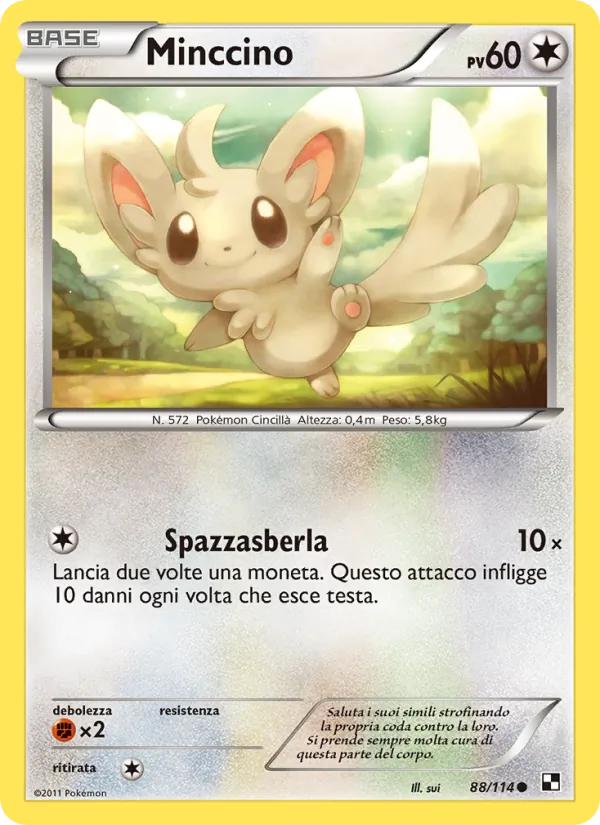 Minccino Nero e Bianco 88/114