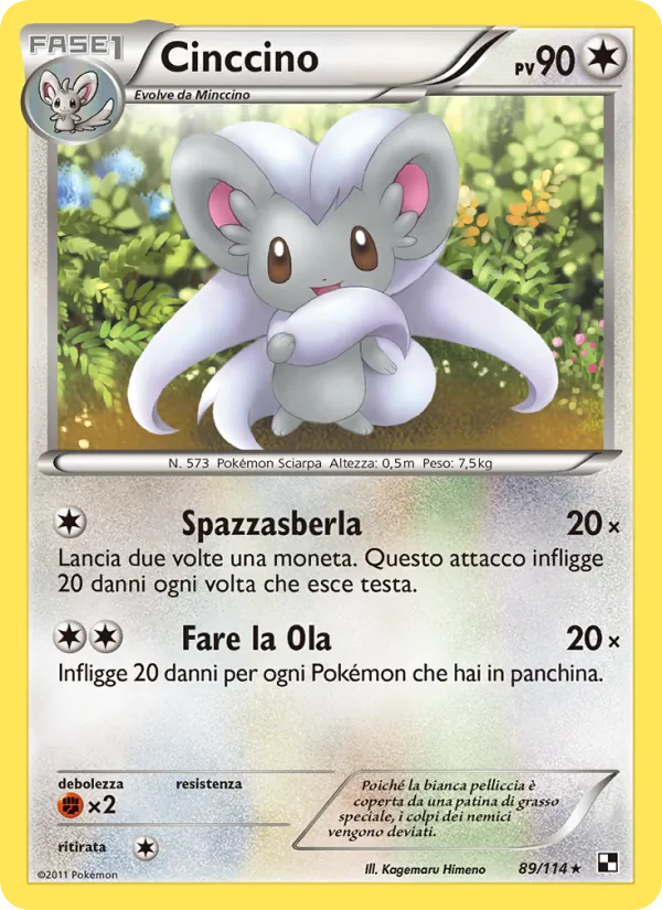 Cinccino Nero e Bianco 89/114