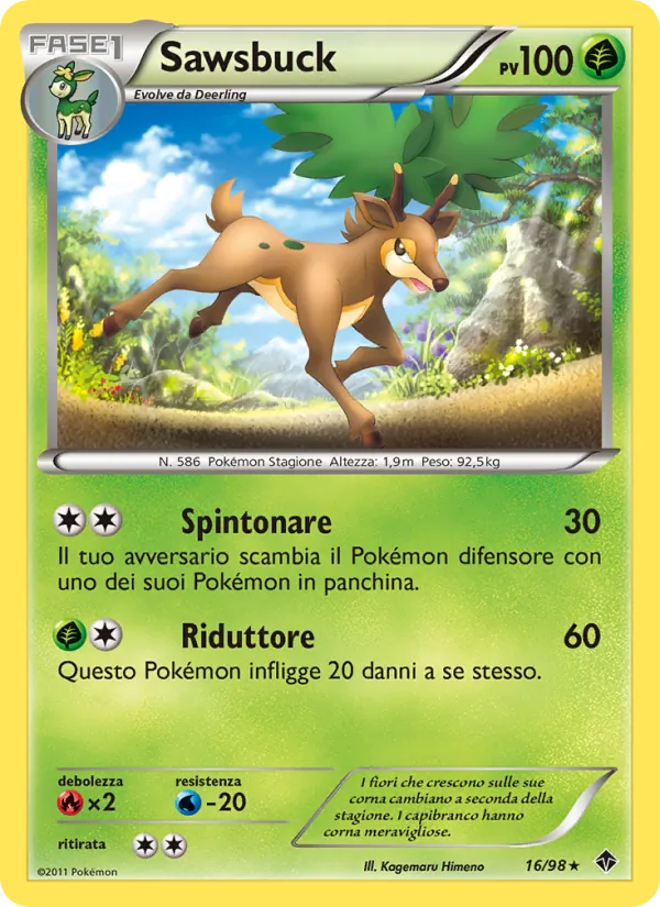 Sawsbuck Nuove Forze 16/98