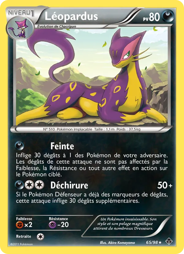 Léopardus Pouvoirs Émergents 65/98