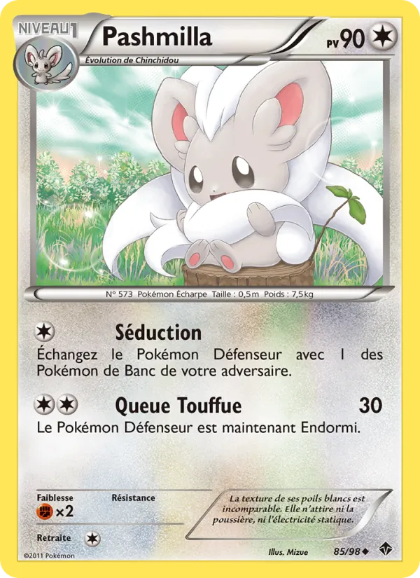 Pashmilla Pouvoirs Émergents 85/98