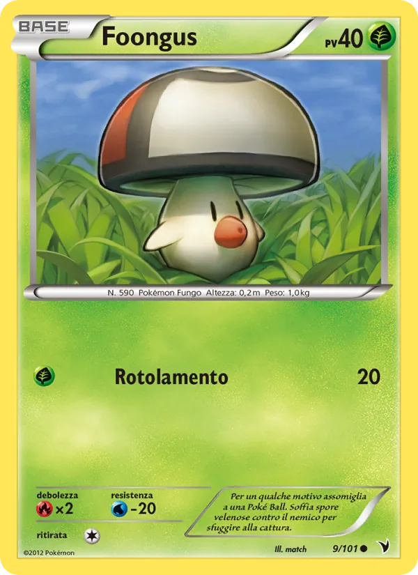 Foongus Vittorie Regali 9/101