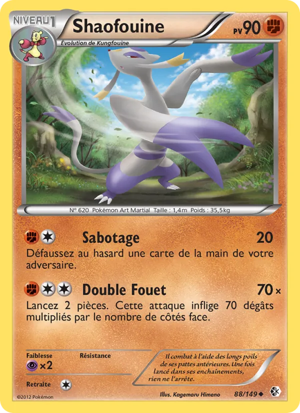 Shaofouine Frontières Franchies 88/149