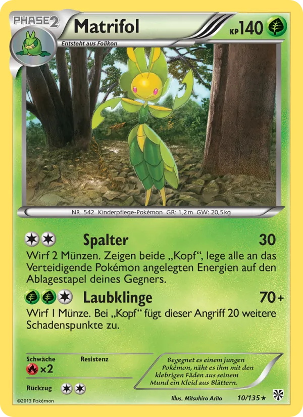 Matrifol Plasma-Sturm 10/135