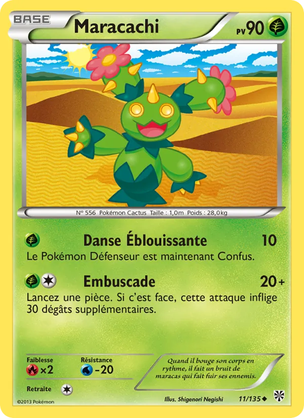 Maracachi Tempète Plasma 11/135