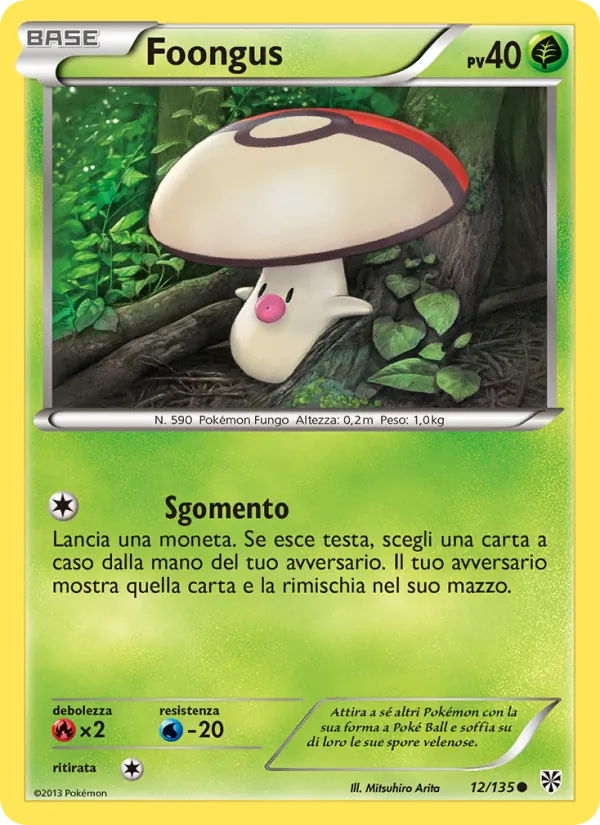 Foongus Uragano Plasma 12/135