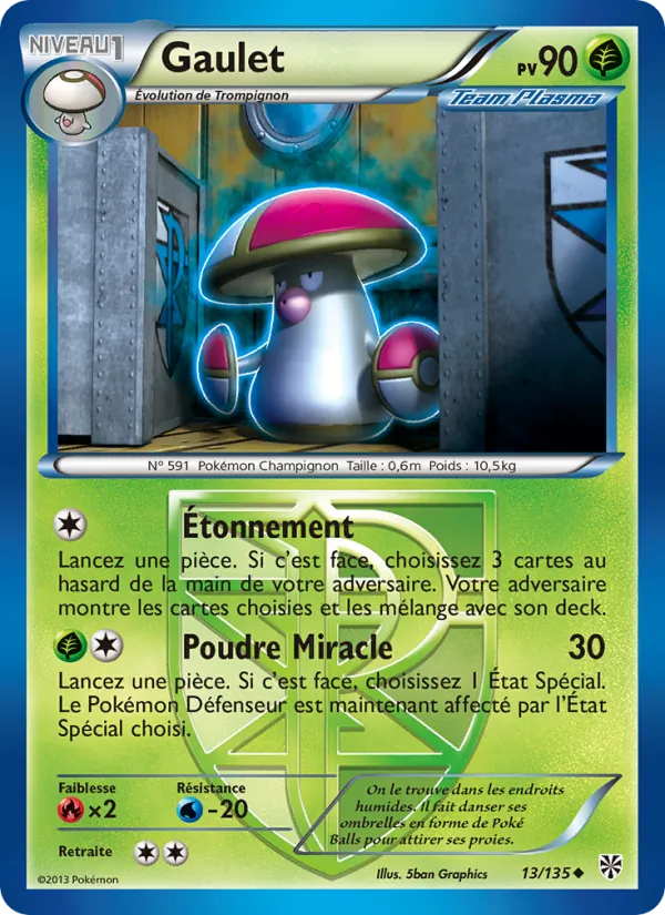 Gaulet Tempète Plasma 13/135