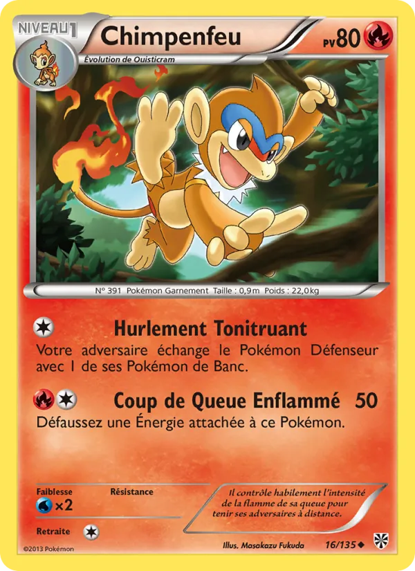 Chimpenfeu Tempète Plasma 16/135