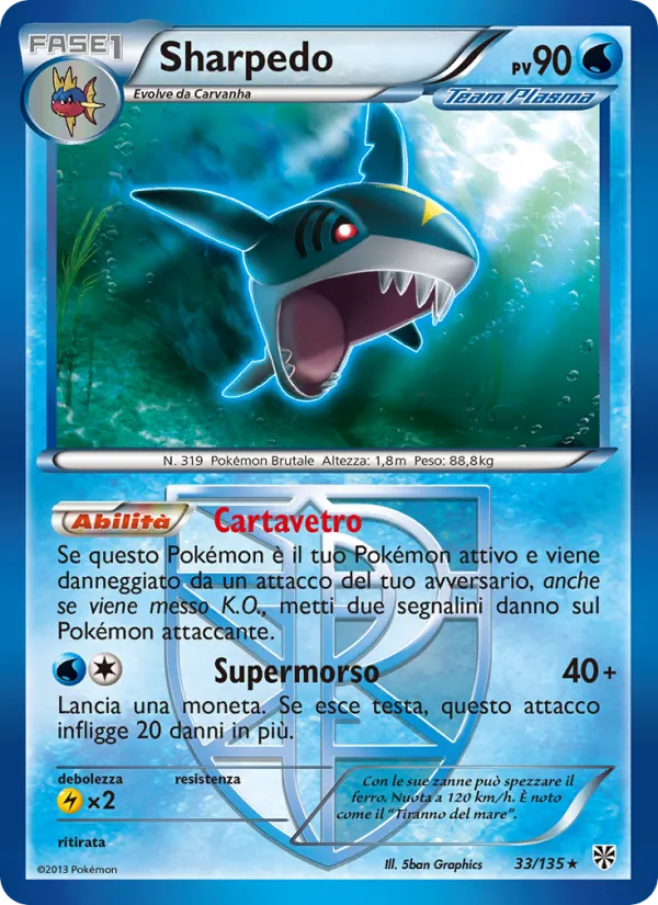 Sharpedo Uragano Plasma 33/135