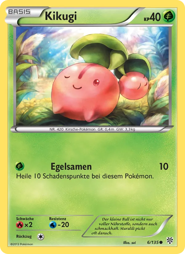 Kikugi Plasma-Sturm 6/135