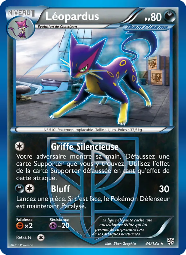 Léopardus Tempète Plasma 84/135