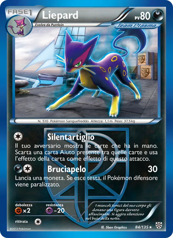 Liepard Uragano Plasma 84/135