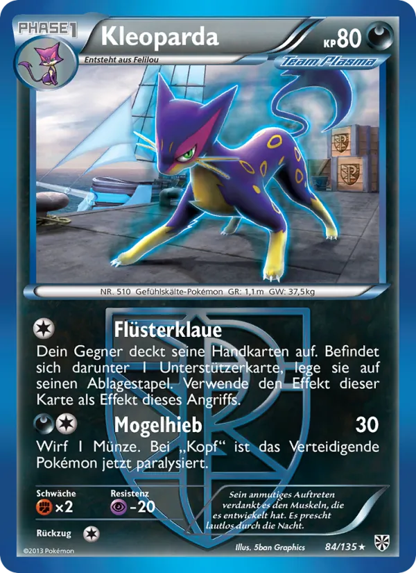Kleoparda Plasma-Sturm 84/135