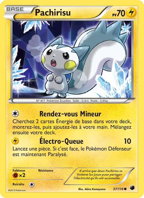 Pachirisu Glaciation Plasma 37/116