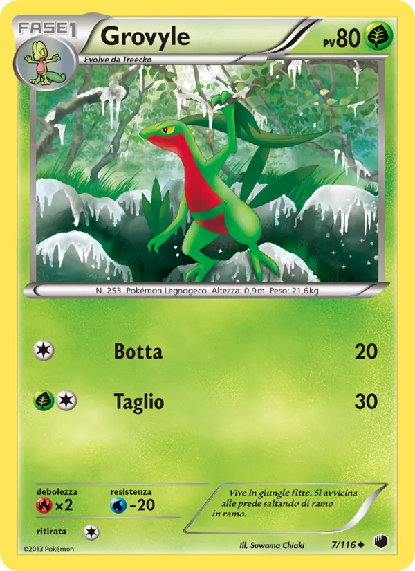 Grovyle Glaciazione Plasma 7/116