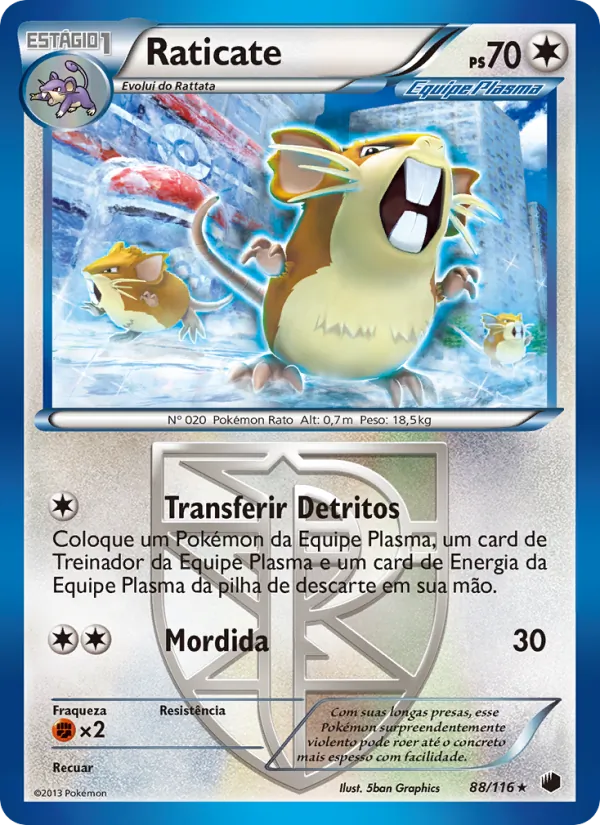 Raticate Congelamento de Plasma 88/116