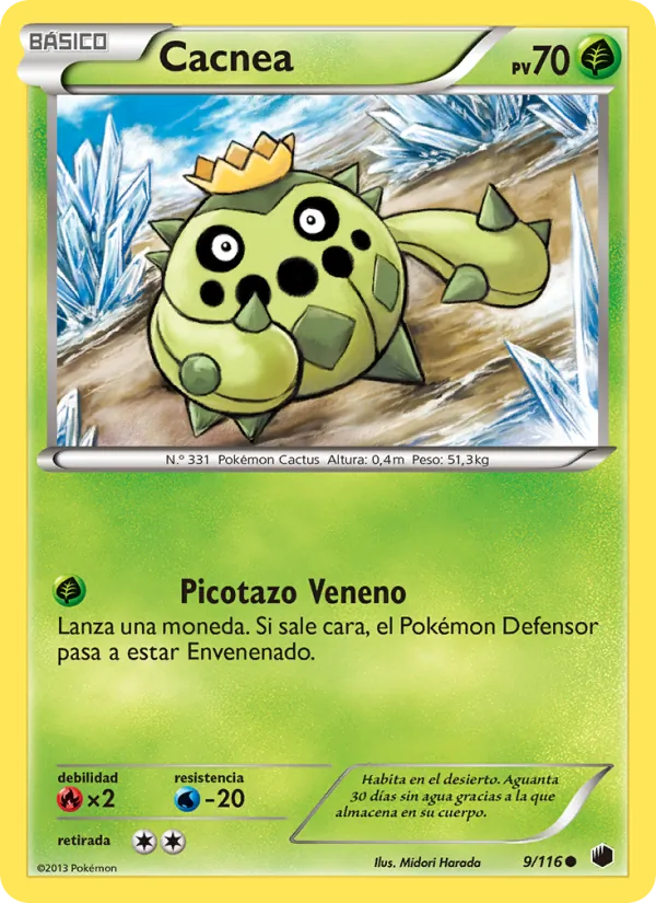 Cacnea Glaciación Plasma 9/116