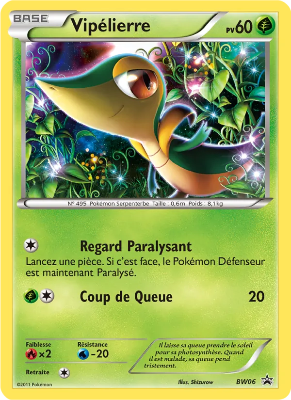 Vipélierre Promo BW BW06/101