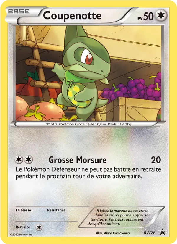 Coupenotte Promo BW BW26/101