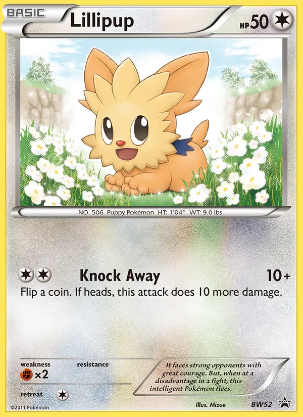 Lillipup NB Promo BW52/101