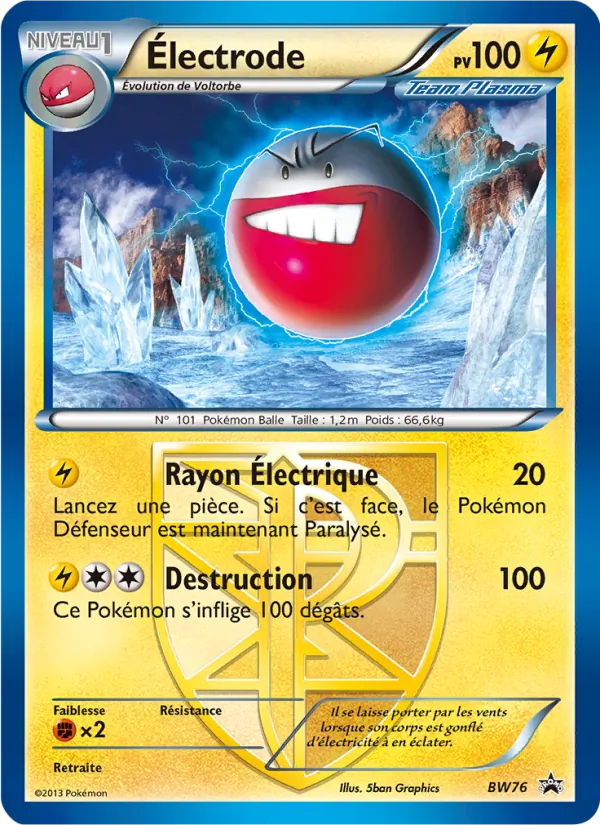 Électrode Promo BW BW76/101