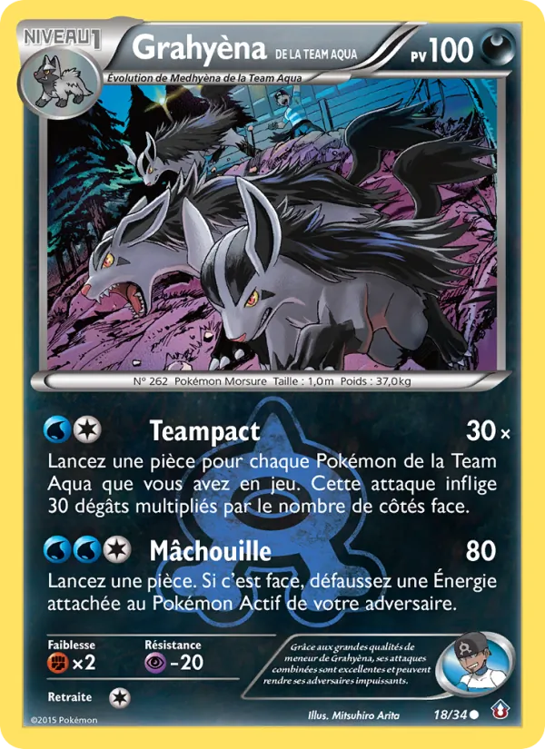 Grahyèna de la Team Aqua Double Danger 18/34